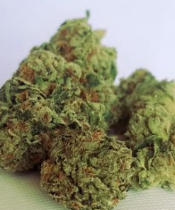 Kosher Kush INDICA, sticky and stony