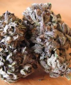 Purple Kush